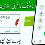 Zong SIM Lagao Offer