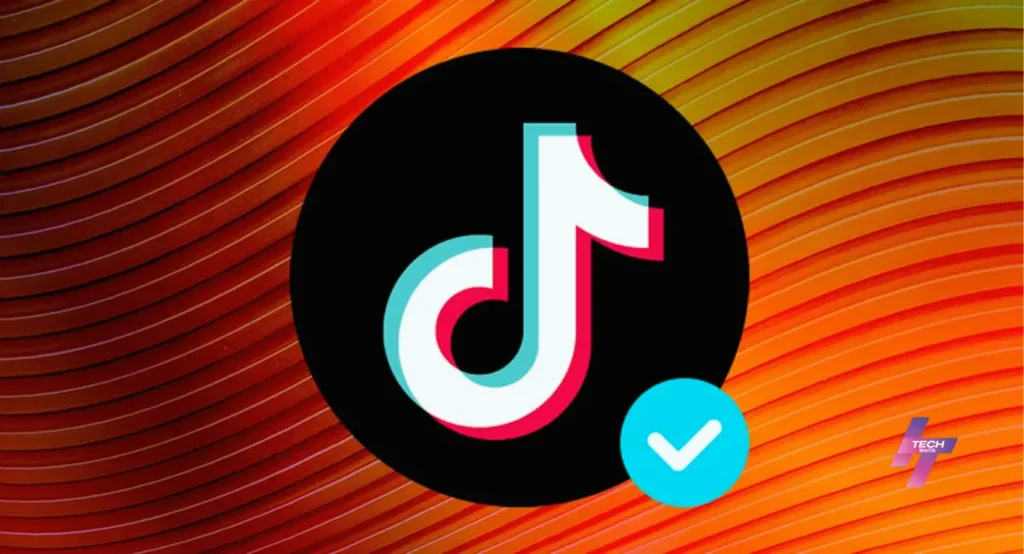 how i get verified on tiktok