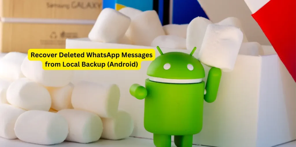 Recover Deleted WhatsApp Messages from Local Backup (Android)